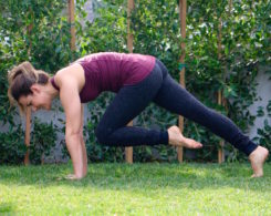 Advanced-Plank-Knee-to-Elbow-1024x682.jpg