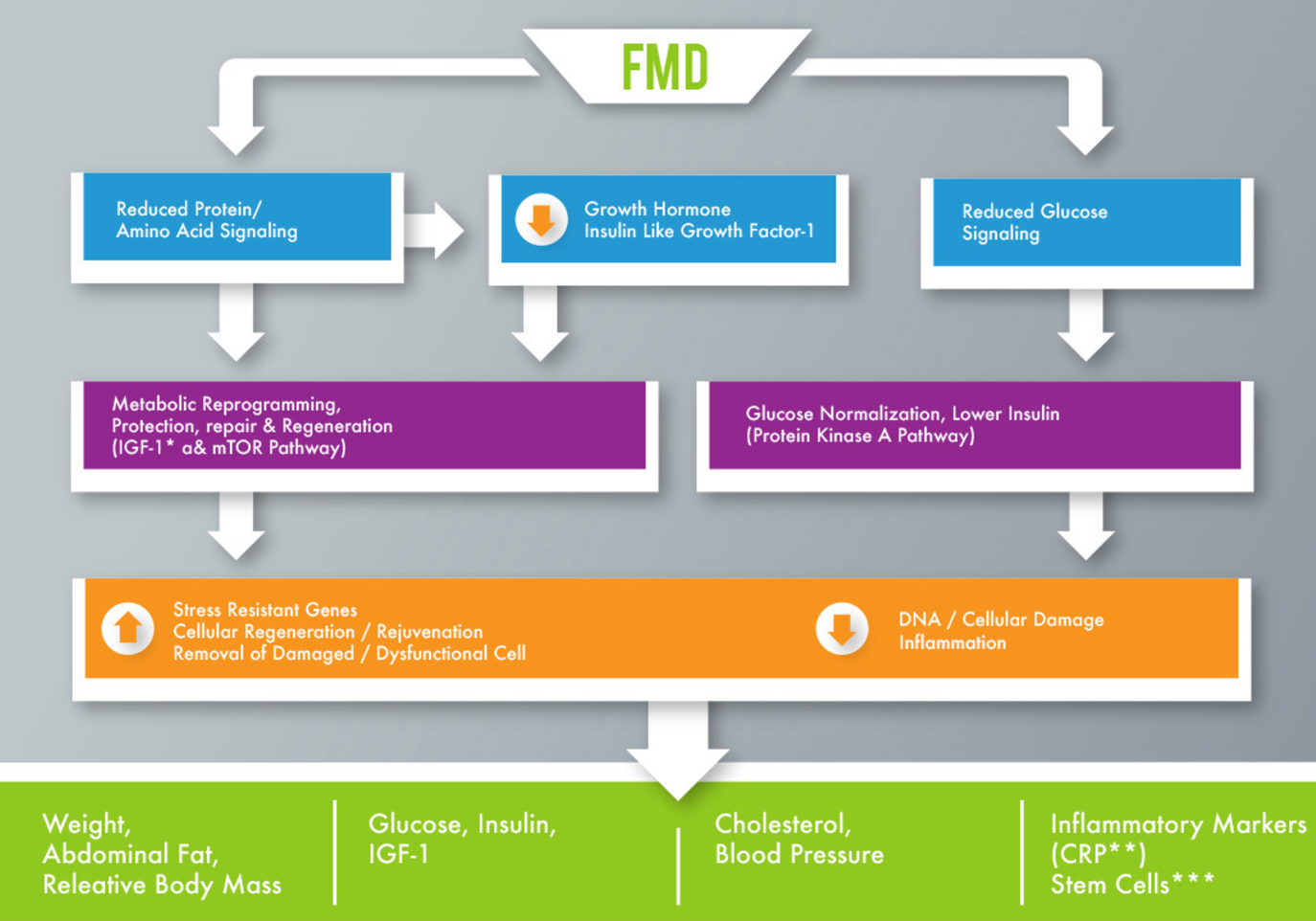 fasting mimicking diet
