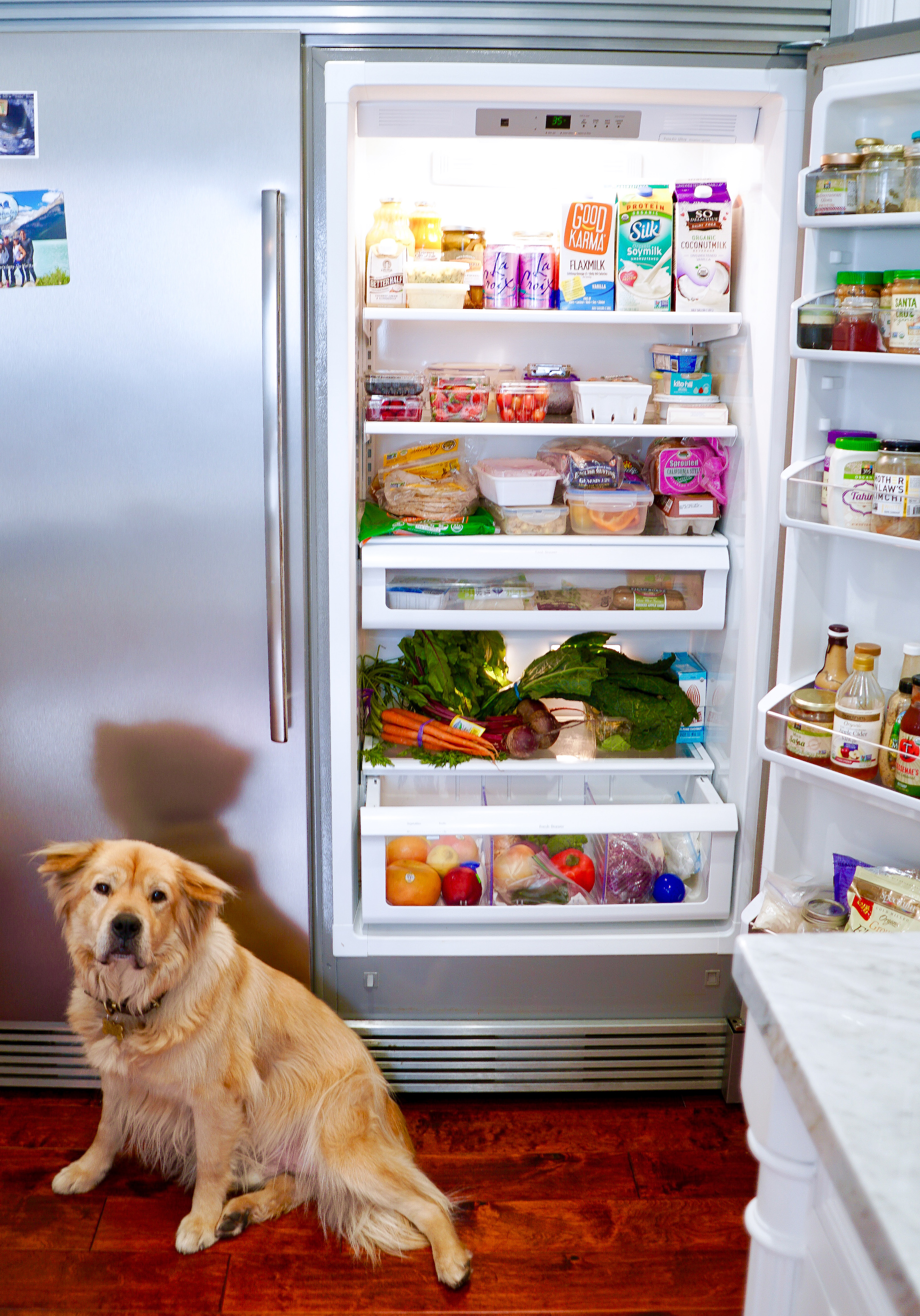 plant-based diet refrigerator