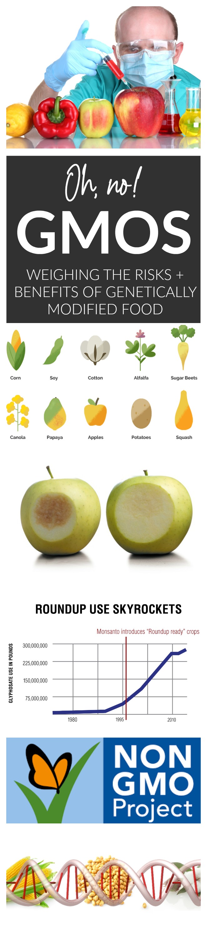 GMOs - Safety, Risks + Benefits