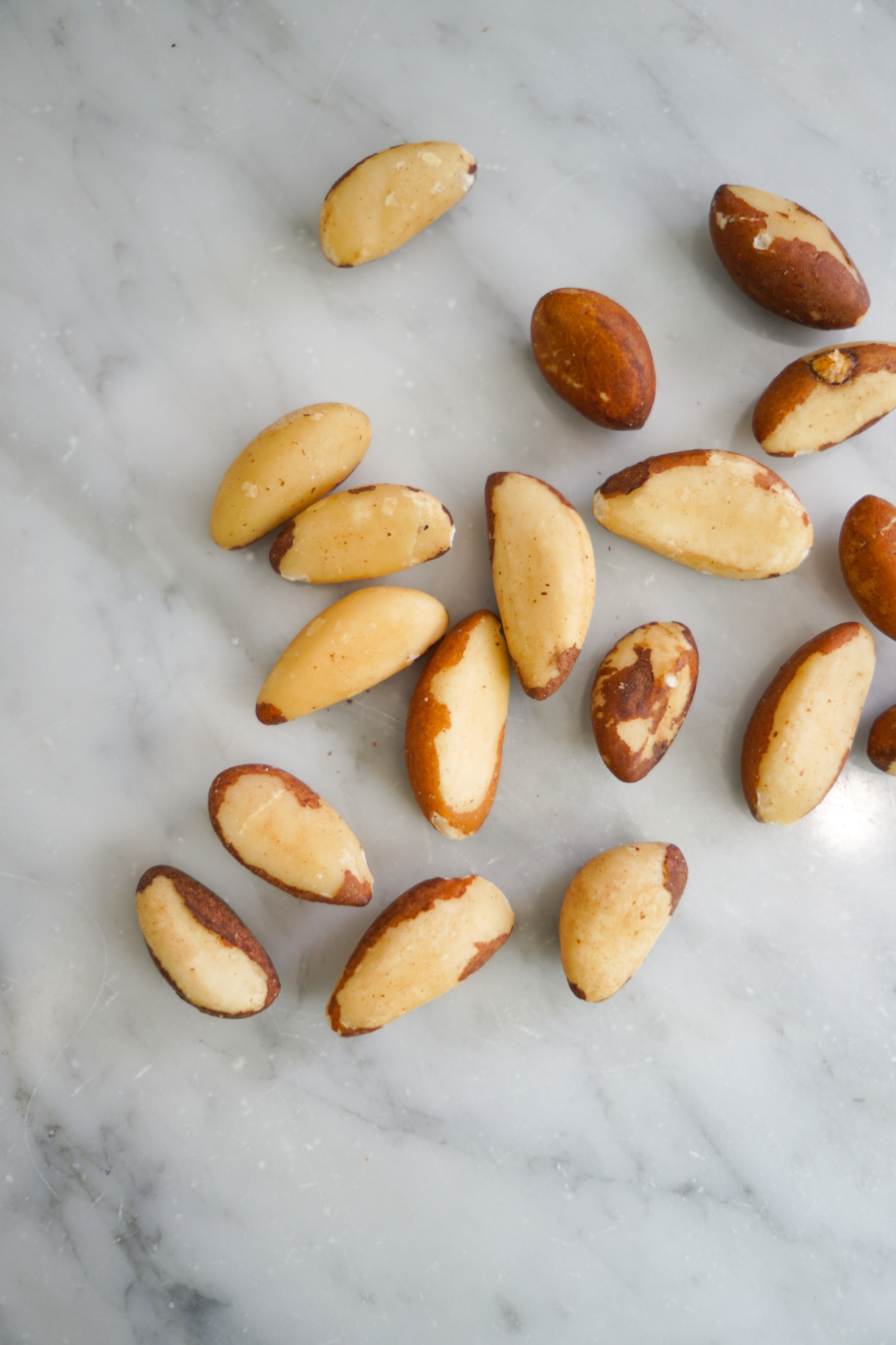 Brazil Nut
