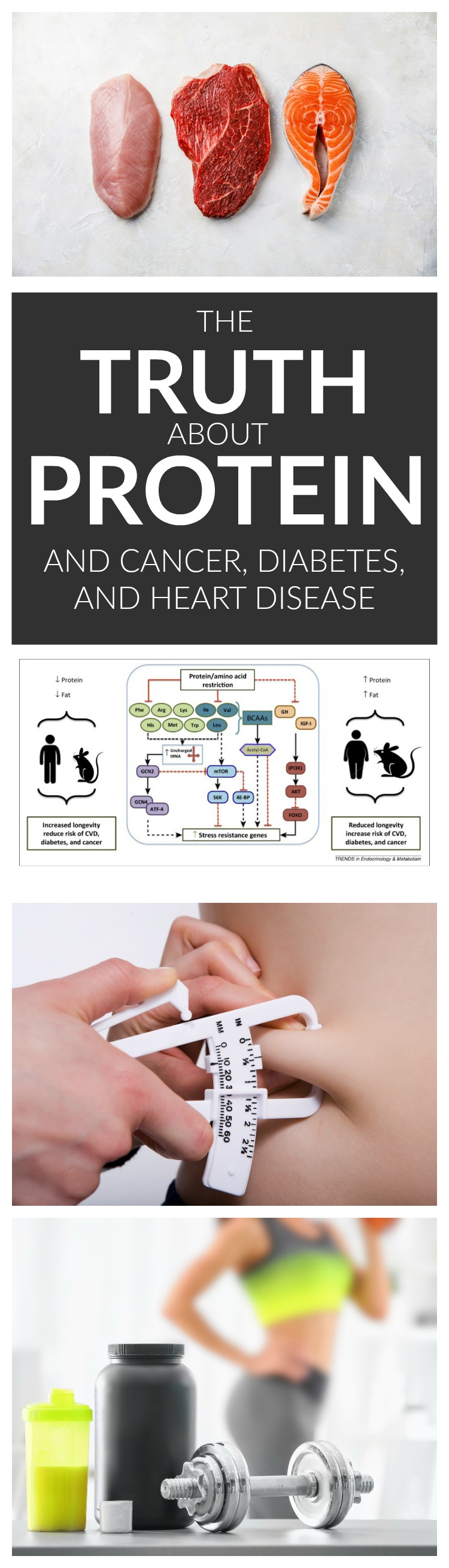 The Truth About Protein and Cancer, Diabetes, and Heart Disease