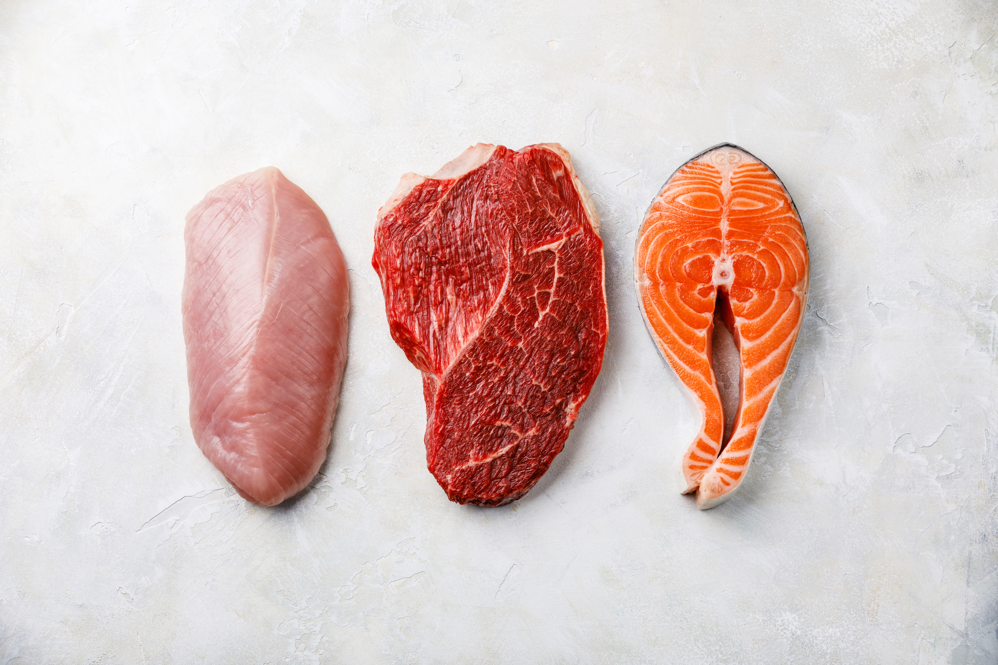 animal protein