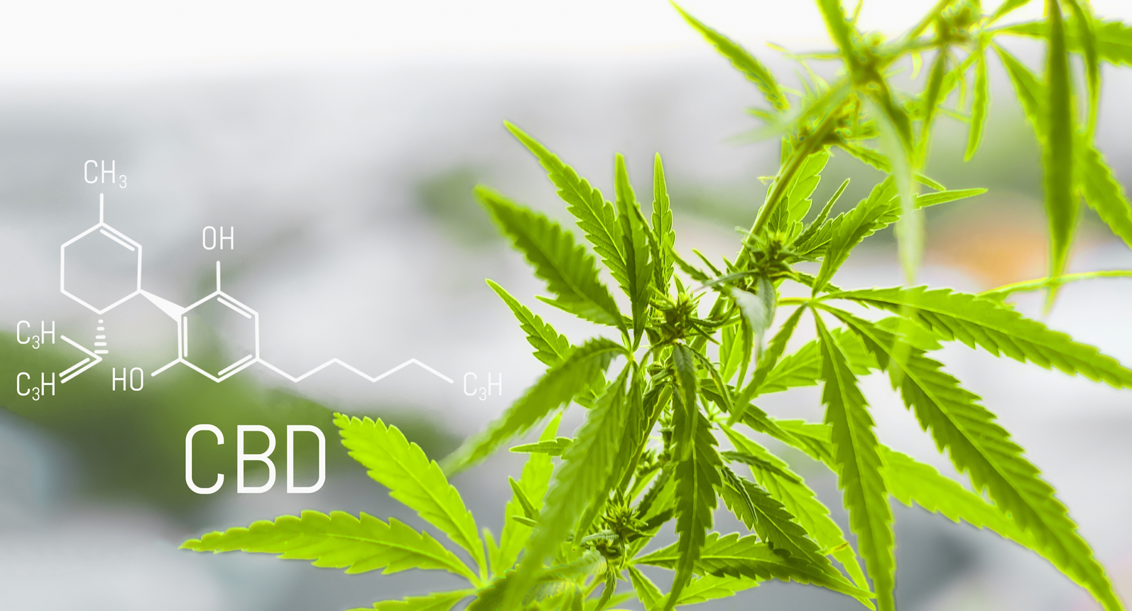 CBD compound