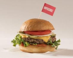 plant-based meat alternative