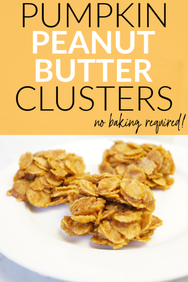 PB pumpkin cluster pin