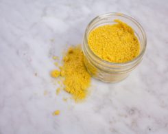 egan parmesan cheese