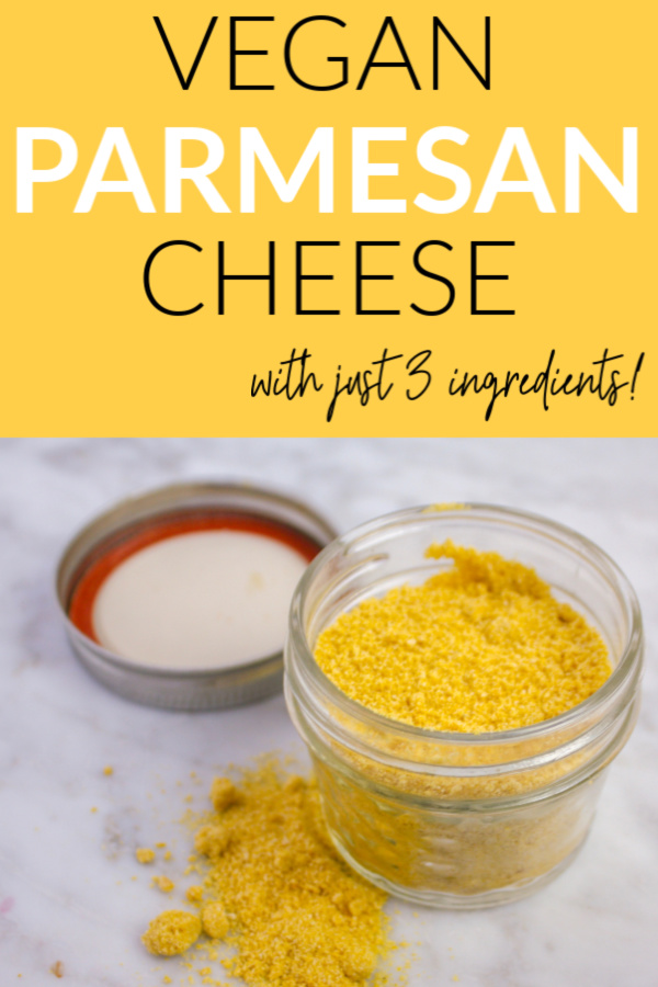 vegan parmesan cheese pin