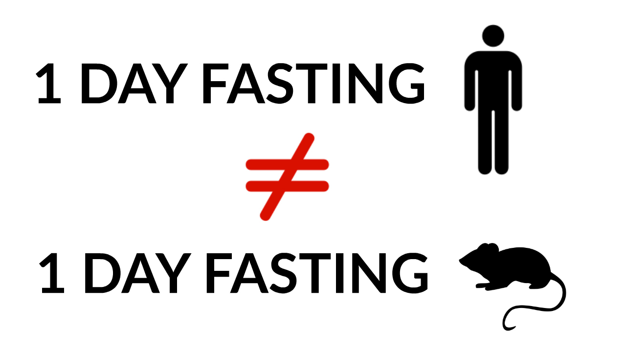 induce autophagy mice fasting