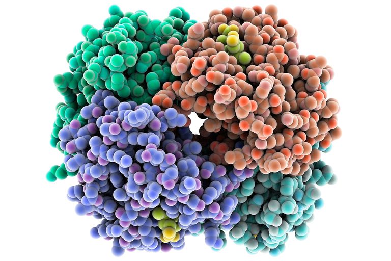 molecules