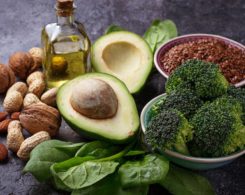plant-based ketogenic diet
